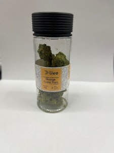 Live - LIVE - Orange Crazy Train - 7G