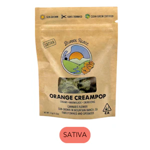BURR'S PLACE ORGANICS - Burr's Place Organics - Orange Creampop - Flower - 3.5G