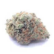 Bulk Flower | Freedom Green Farms | Orange Julius