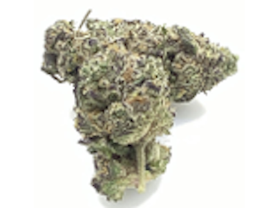 CURALEAF - Orange Z (S) 00351