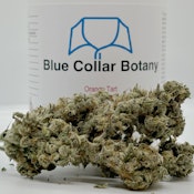 Orange Tart - 3.5g - Blue Collar Botany