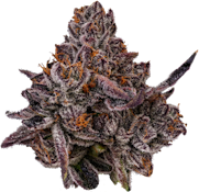 Oreoz Flower - 3.5g - NEA