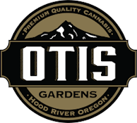 Orange Cream Cake by Otis Gardens