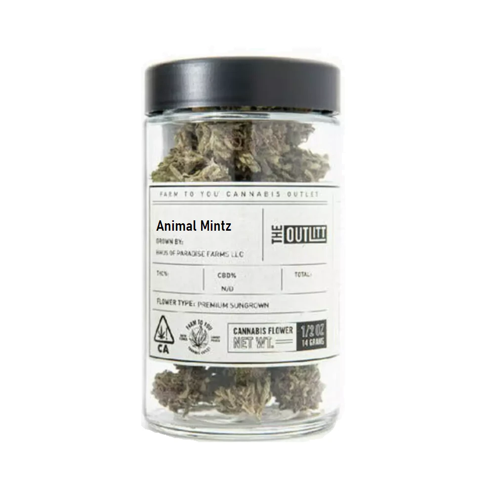 The Outlitt - ANIMAL MINTZ 14G - THE OUTLITT Main Image