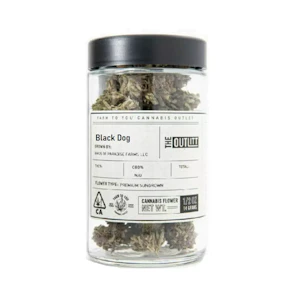 THE OUTLITT - BLACK DOG 14G - THE OUTLITT