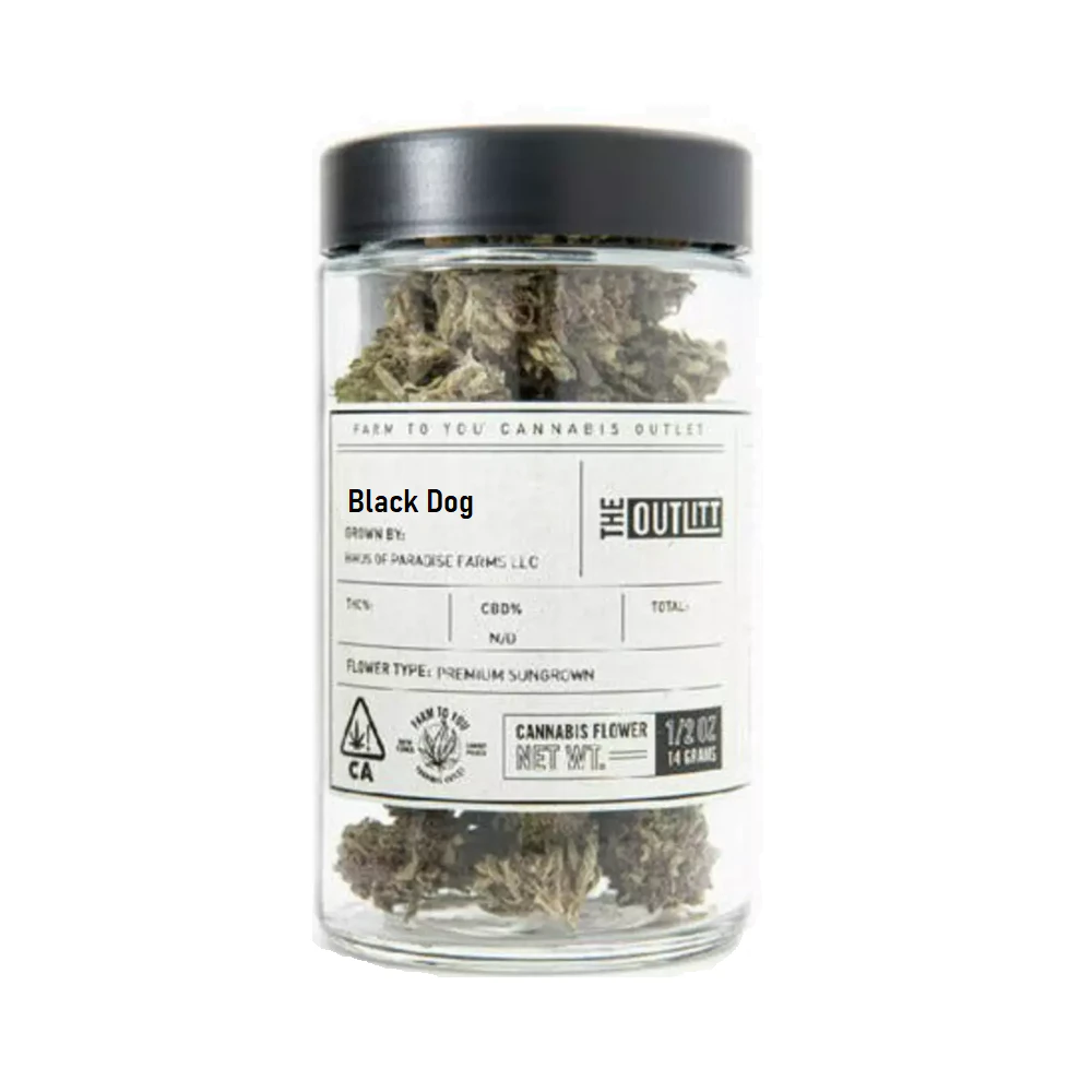 The Outlitt - BLACK DOG 14G - THE OUTLITT Main Image