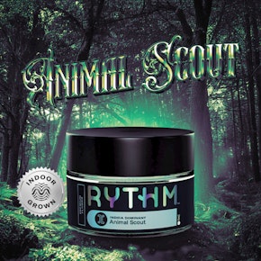 Rythm | Flower - Animal Scout | 3.5g
