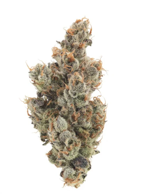 Team Elite Genetics - Team Elite Genetics - P.G.B. - 3.5g Flower Main Image