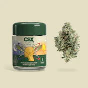 Cannabiotix Jet Lag OG (I) Flower 3.5g