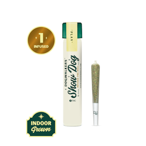 Night Owl Haze - Show Dog Infused Pre Rolls - 1g