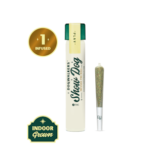 DOGWALKERS - Night Owl Haze - Show Dog Infused Pre Rolls - 1g