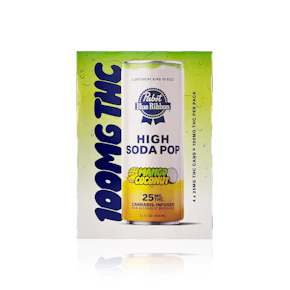 PABST - Drink - Mango Coconut - 4 Pack - 100MG