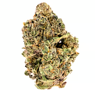 Flora - Pacific Pie Flower - 3.5g