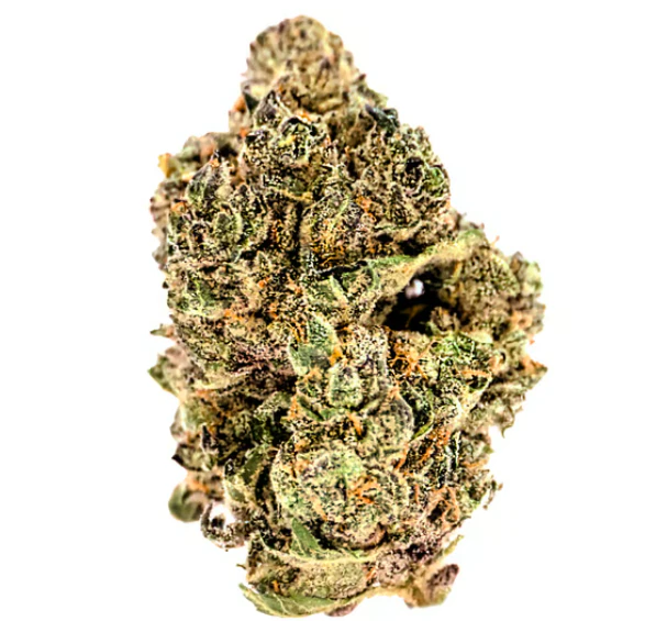 FLORA - Pacific Pie Flower - 3.5g Main Image