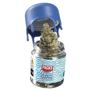 PACKS - Packs - Animal Frosting - 3.5g