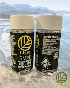 Livin Solventless - Pancakes Pines - Infused Preroll - 5 Pack - 2.5g