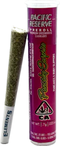 Pacific Reserve - Pancake Surprise .7g Pre-Roll - Pacific Reserve