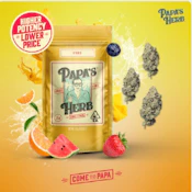 Papa's Herb - Gush Mintz - 3.5g Flower