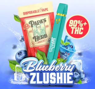 Blueberry Zlushie AIO 1G