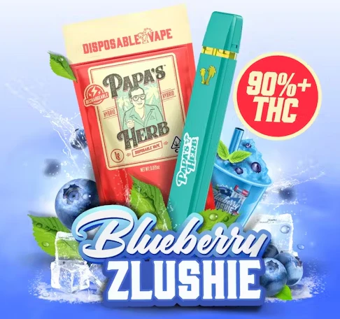Papa's Herb - Blueberry Zlushie AIO 1G Main Image