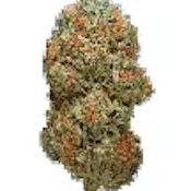 Papaya Punch