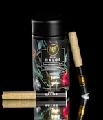 Maven - Paradiso Tropical - 3g Mini Halos Rosin Infused Pre-Rolls - 5pk