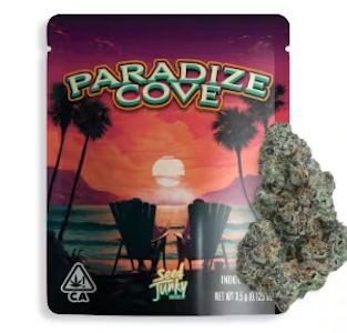 SEED JUNKY - Seed Junky - Sativa - Paradize Cove Indoor - (3.5g)