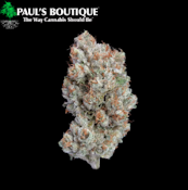 Paul's Boutique | Skywalker | 3.5g | [I/H]