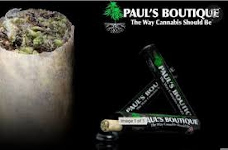 PAUL'S BOUTIQUE - Paul's Boutique | Straw-Lectric Lemonade + Skywalker Kush | 0.75g Hash Infused Pre-Roll | 0.75g Total [H/I]