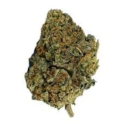 Grassroots Whole Flower 3.5g Paw Paw (H) 01482