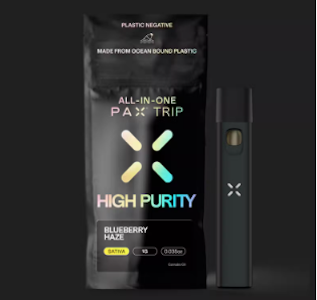 PAX - PAX | Blueberry Haze -High Purity | all-in-one Vape 1G
