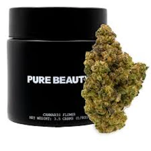 Pure Beauty -  [Pure Beauty] Indoor Flower - 3.5g - Spritzer (I/H)