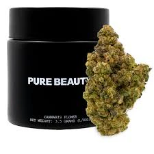 Pure Beauty -  [Pure Beauty] Indoor Flower - 3.5g - Spritzer (I/H) Main Image