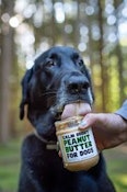 Zilla's - Calm Buddy Peanut Butter for Dogs 500mg