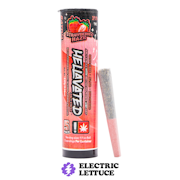 Hellavated Strawberry Haze 5pk Infused Pre-Roll 0.5g