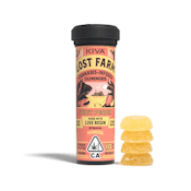 Kiva - Lost Farms - Juicy Peach x "Mimosa" Live Resin Gummies - (10mg/100mg)