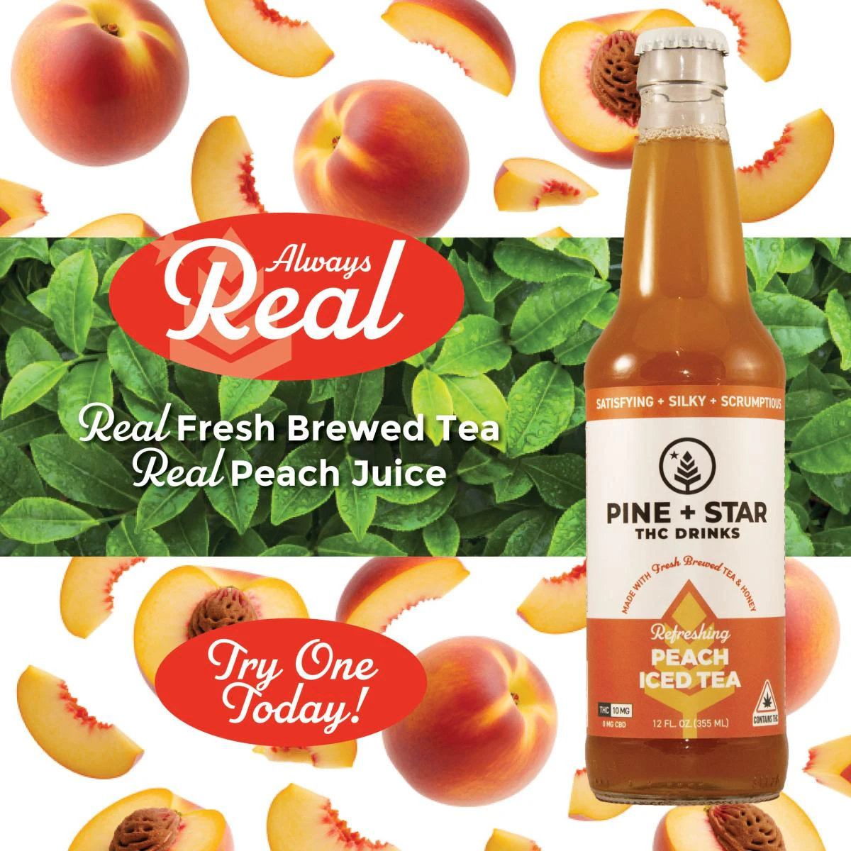 PINE AND STAR - Pine & Star | Peach Tea | 10mg Main Image