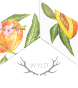 WYLD - 2:1 CBD/THC PEACH GUMMIES (100MG/50MG)