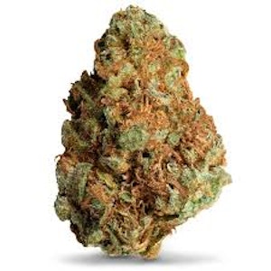 Elevated Trading - Elevated Trading Peanut Butter Breath THCA Hemp Flower