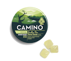 Camino: Sparkling Pear  “Social” Gummies