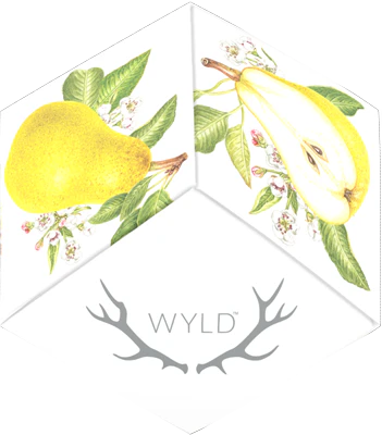 WYLD - WYLD - PEAR 1:1 CBG:THC 100MG Main Image