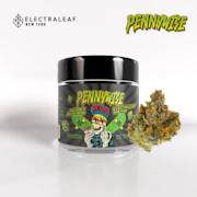 Electraleaf | Pennywise | 3.5g