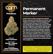 CAM | Permanent Marker- | 14G indica