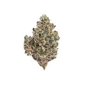 NATURE'S MEDICINE - Buds - Permanent Chimera #2