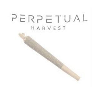 Perpetual - Grapechata #3 PreRoll - 1g GCC