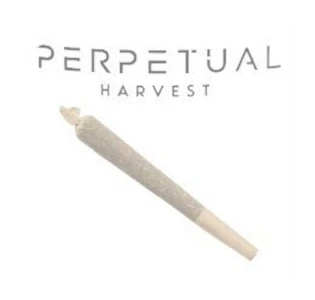 Perpetual - Sunset High Octane PreRoll - 1g - GCC