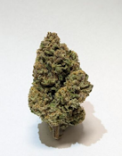 Glenna's- Persian Triangle - 3.5g Flower