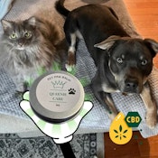 CBD Pet Paw Balm | 75mg | TAXES INCLUDED