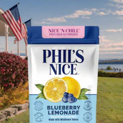 Phil's Nice - Blueberry Lemonade - 100mg Gummies