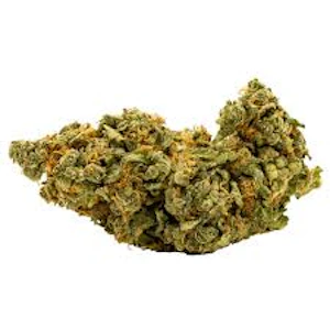 AHKI CANNA - Buds - Pie 95